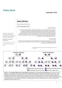 thumbnail of Callies_0919_gene_