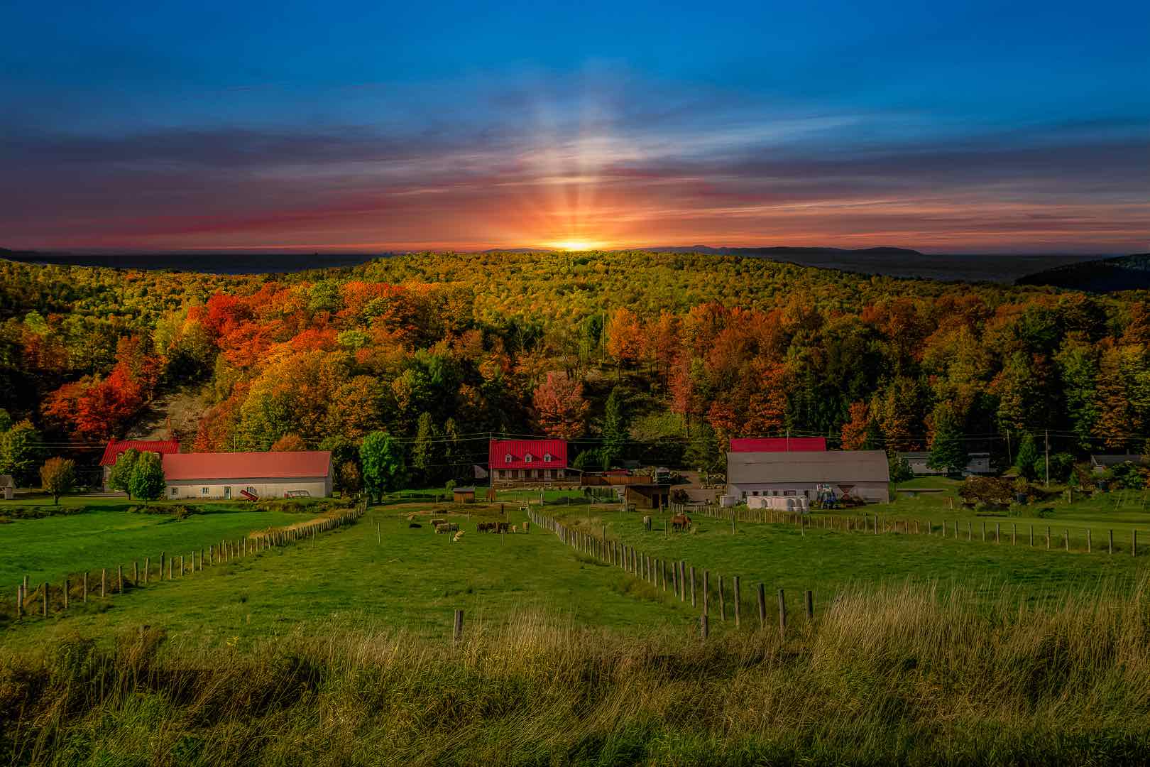 Why Regenerative Agriculture Is The Future Of Farming A Id