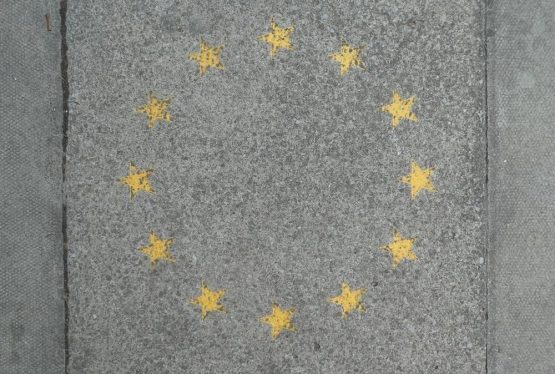 The main mobility flow is from the East to the West of the Union, with some 24.000 students a year applying for Western European Universities from Eastern-European ones.